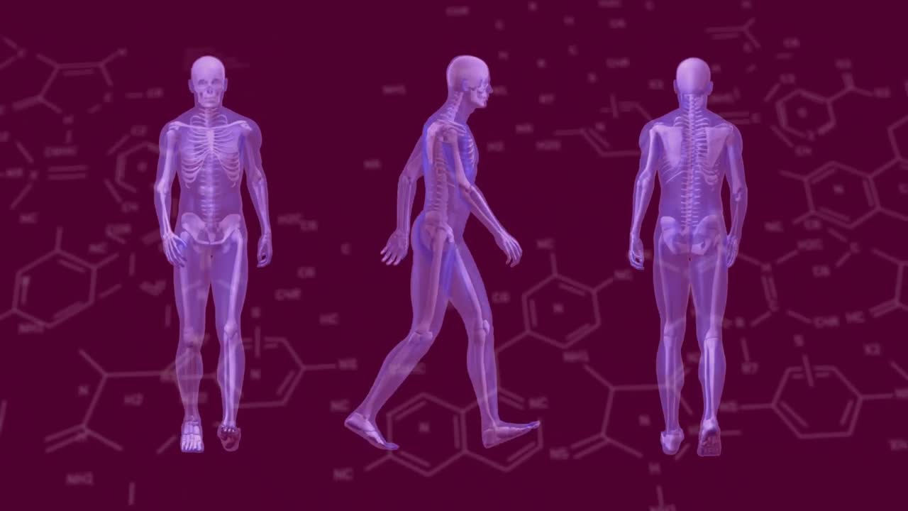 animación de estructuras químicas sobre tres modelos de cuerpo humano caminando contra un fondo púrpura