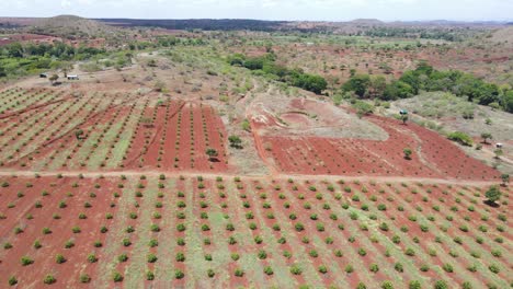 drone mavic air 2 flying over the hill in the africa savanna desert zone. climate change desert zone of africa. arid places without water in kenya during the drought seasons.