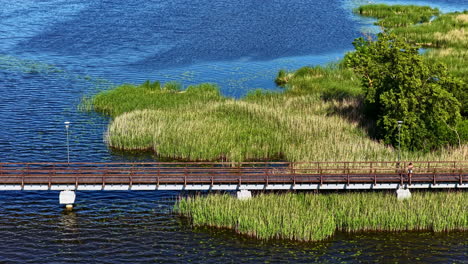 woman alone on širvėnai lake boardwalk trail in aerial view, lithuania