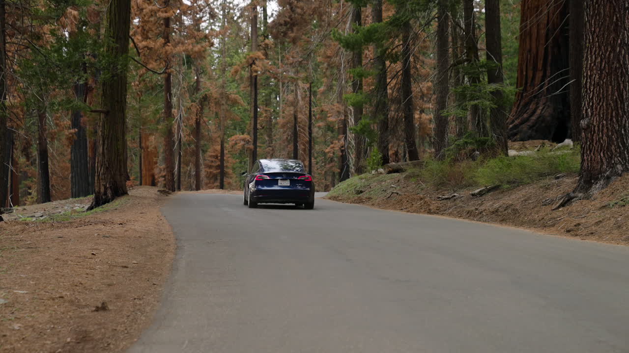 carretera asfaltada con conducción de coche tesla azul alrededor del parque nacional sequoia en california, ee.uu.