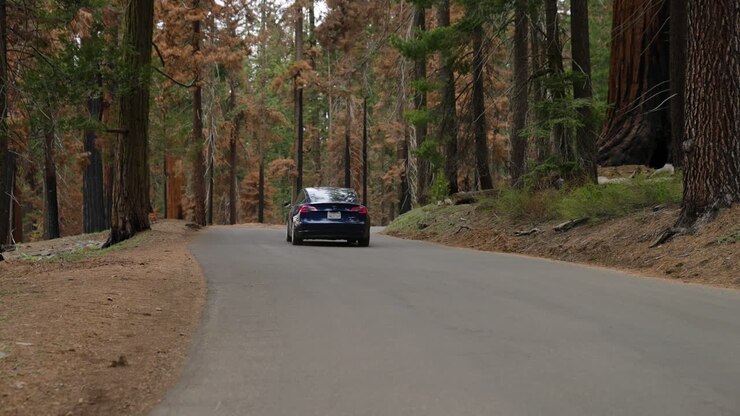 Strada asfaltata con un'auto Tesla blu che guida intorno al Parco Nazionale di Sequoia in California, USA