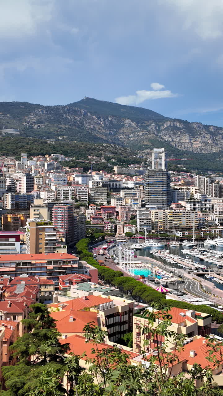 Aerial view of the skyline of Monaco in daylight. Vertical