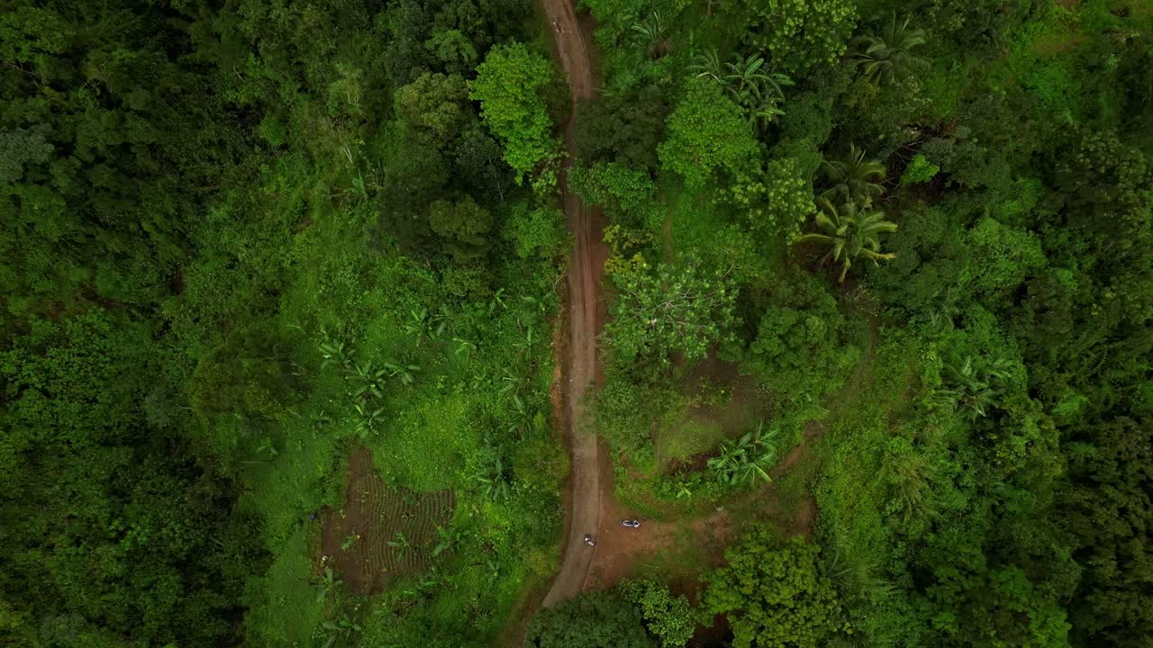 An aerial shot tracks over a winding dirt road through dense forest, slowly zooming out just slightly. The subtle shift reveals layered canopy and emphasizes scale, motion, and natural rhythm