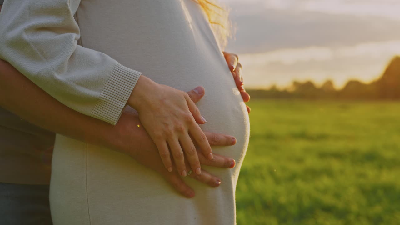 Pregnant Couple in a Field at Sunset