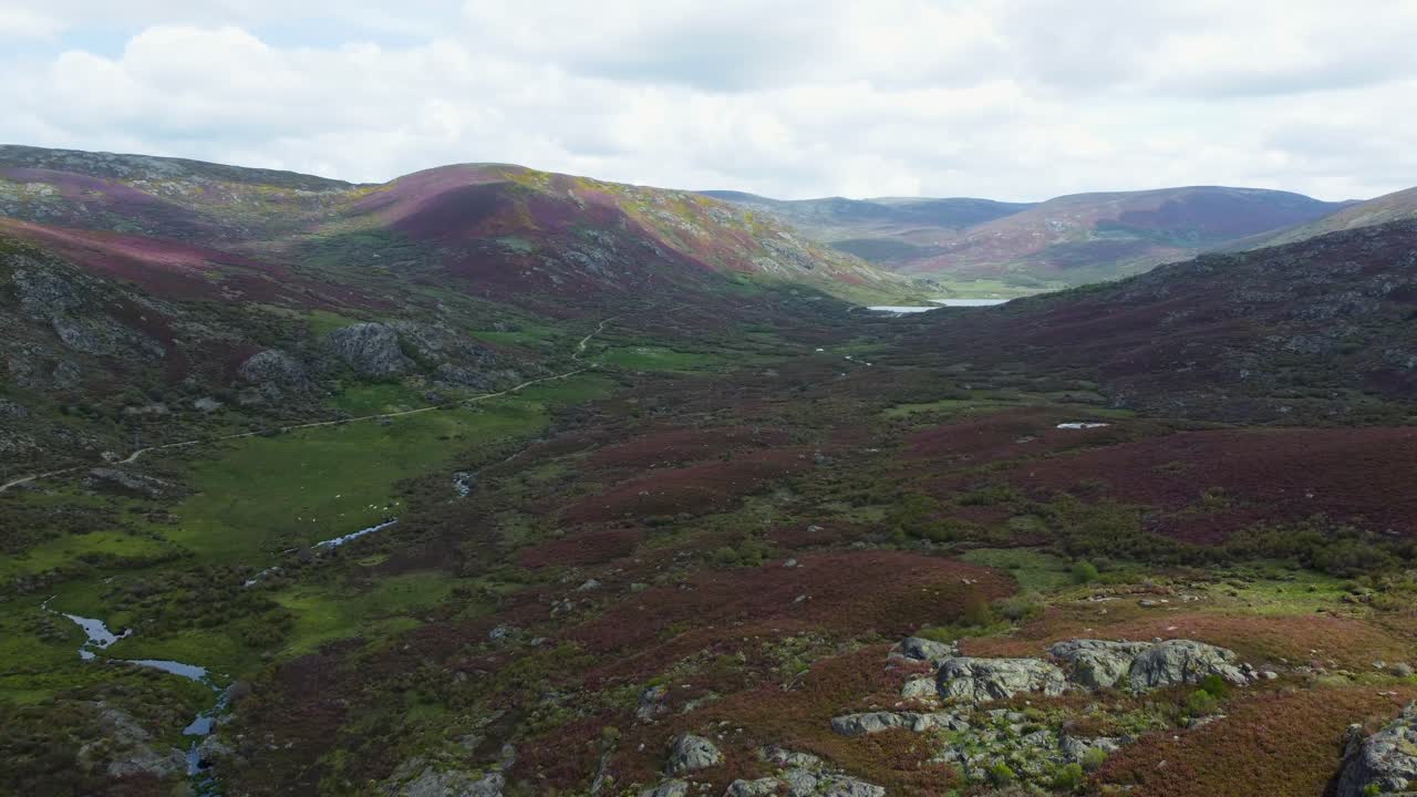 스페인 자모라의 리오 테라 협곡을 가로지르는 공중 돌리 팬, 마법의 매혹적인 풍경