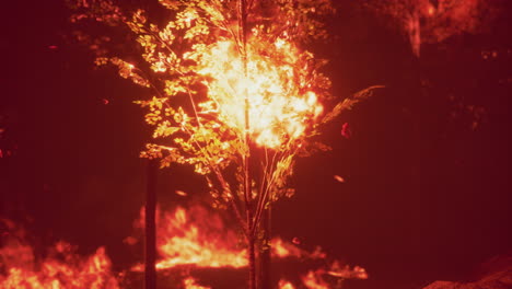 incendio forestal por la noche