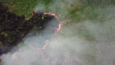 emisión de contaminante atmosférico debido al fuego abierto por un granjero en malasia, sudeste asiático.