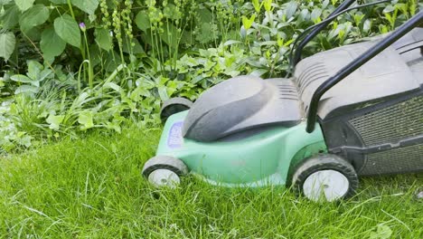 green black lawn mower slowly mows along a lawn edge in a small garden in fine weather