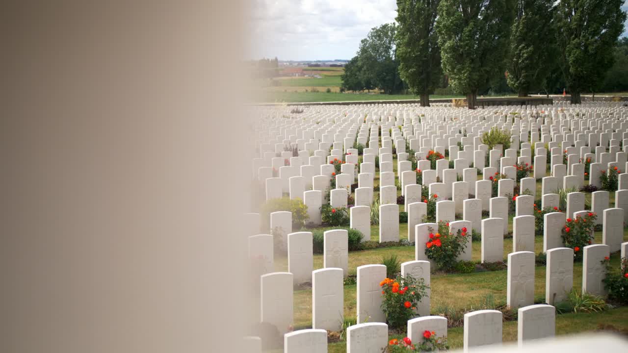 Headstones at a War Memorial Cemetery amongst a beautiful Green Garden with Red Roses in Ypres Beglium, sliding handheld shot