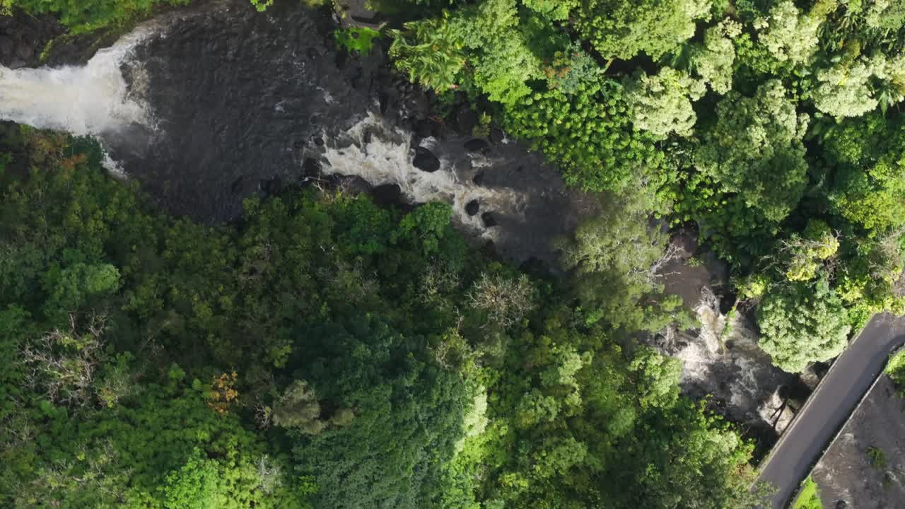 vista aérea de una carretera sinuosa a través de un bosque exuberante y un río