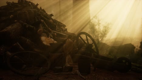 preparación de leña para el invierno en el bosque al atardecer