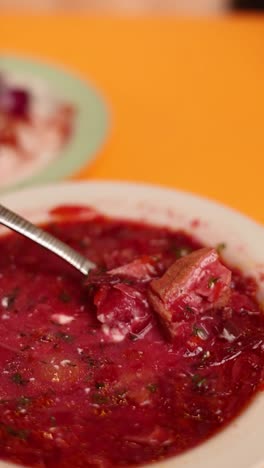 un tazón de delicioso borscht ruso