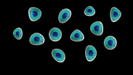 animación de micro de células azules y turquesas sobre fondo negro