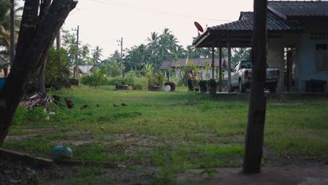 rural village scene