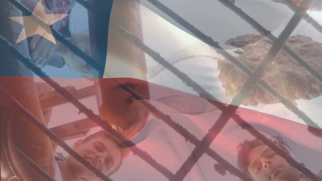 Animación de la bandera de Camerún ondeando sobre un hombre caucásico en una cuadrícula digital.