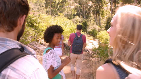 friends talking as they walk through a forest, back view