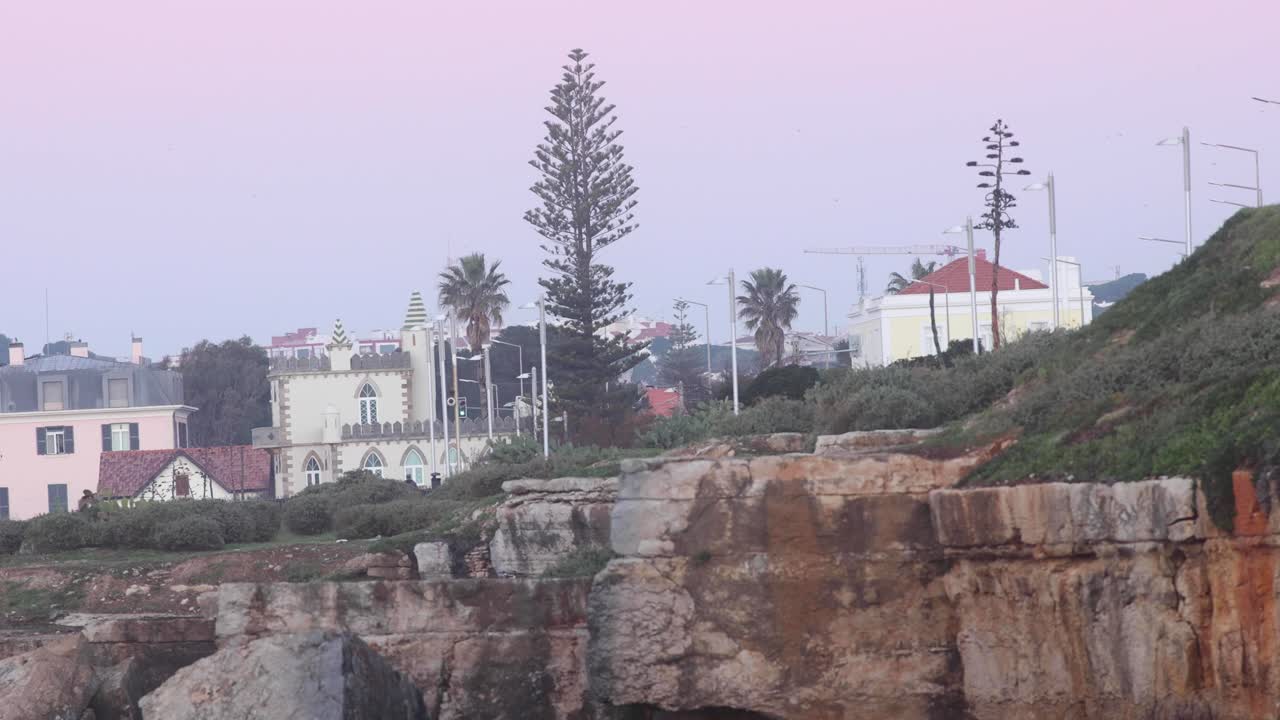 amplia vista de un árbol verde y alto sobre la playa cerca de las calles de la ciudad y casas portuguesas