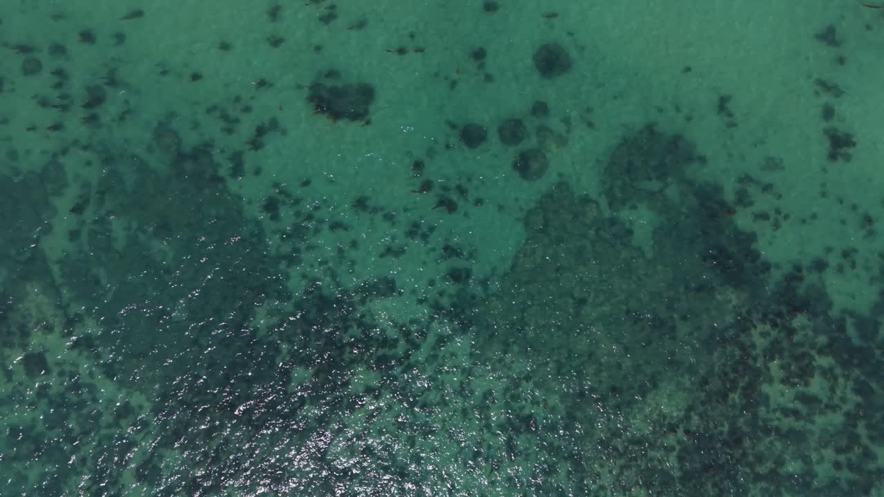 Inquadratura con drone che sale leggermente su acque tropicali basse, rivelando formazioni di barriera corallina sotto la superficie.