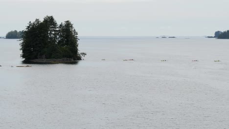 group of tourists sea kayaking in sitka, alaska, cove marina.outdoors activity in vacation.