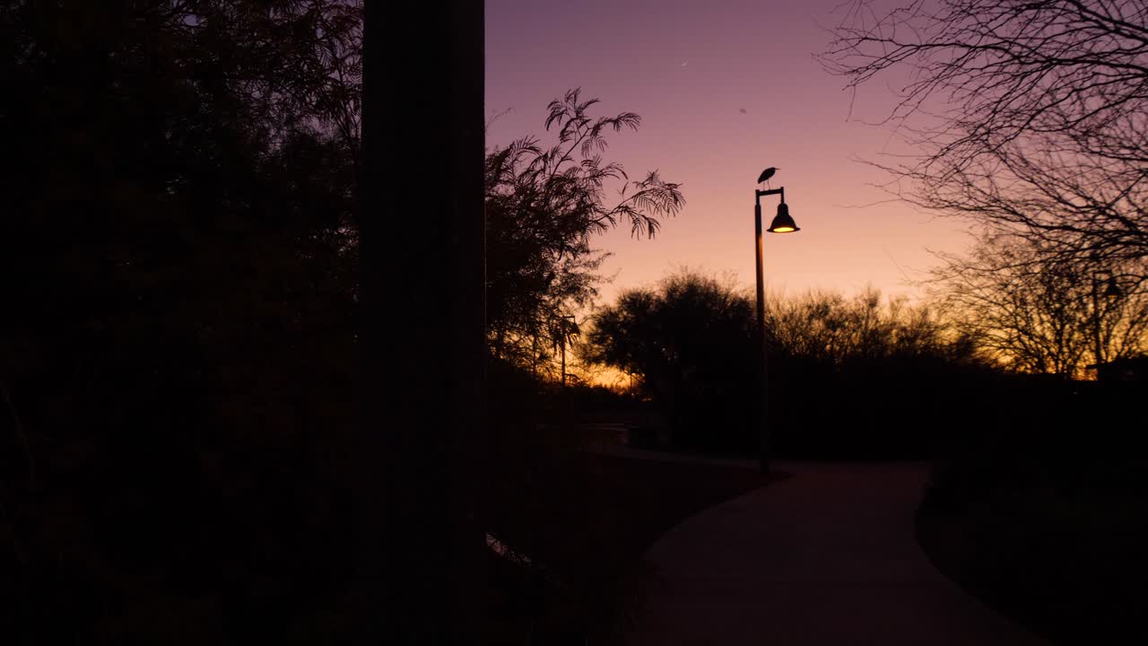 A silhouette of a blue heron on top of an epic purple orange sunset in the desert parks of Arizona