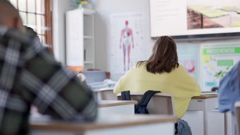 human, body and students studying in classroom