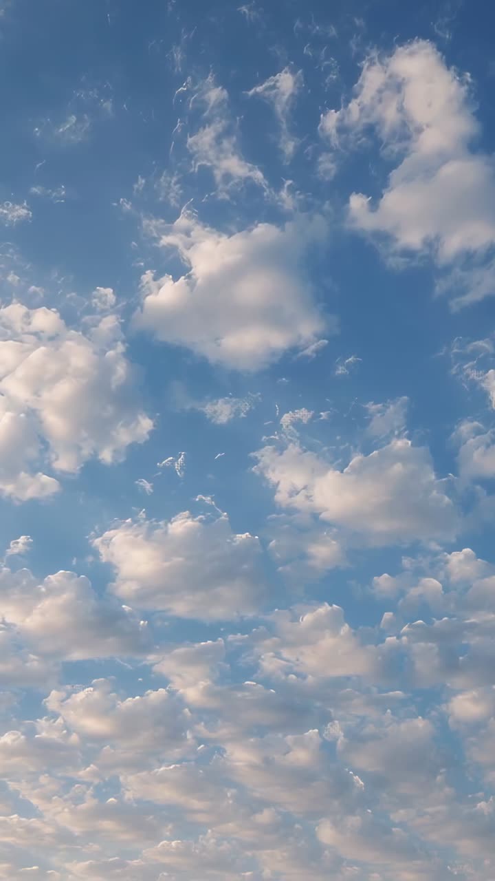 Video verticale: sbuffi di nuvole bianche sospinti dalla brezza su un cielo blu, visti dal basso
