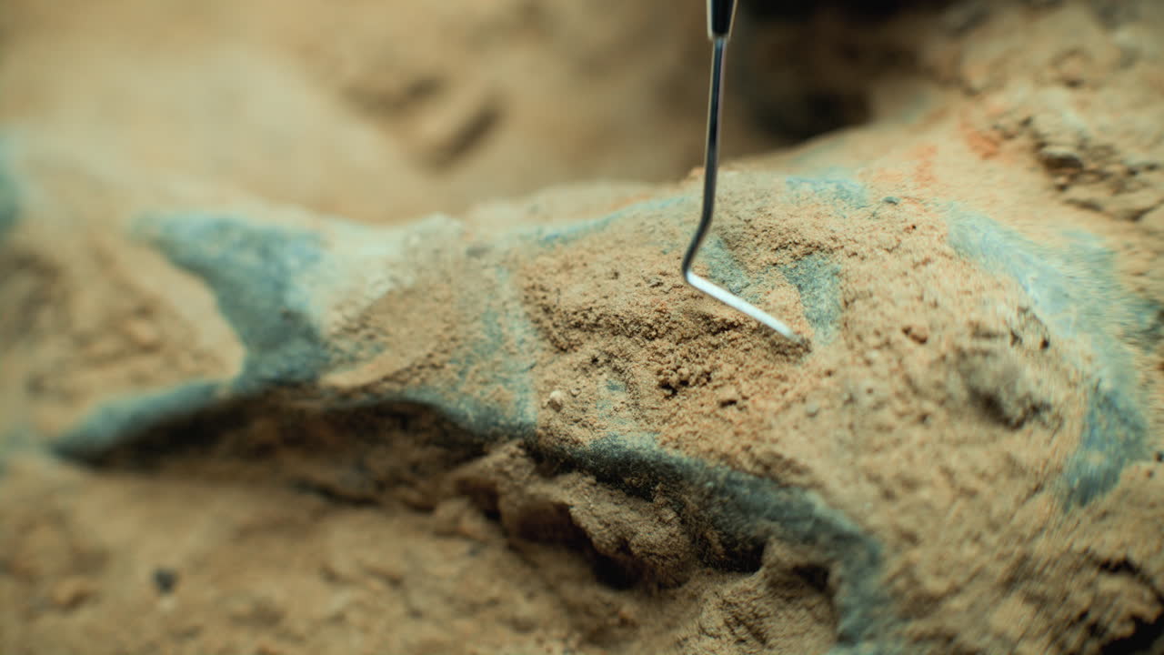 excavación de fósiles