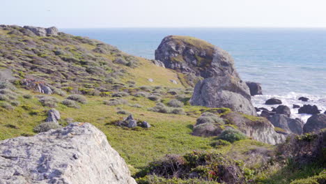 Escena-Tranquila-De-La-Costa-Rocosa-En-El-Parque-Estatal-Empinado-Barranco-Cerca-De-Los-Campamentos-En-Los-Estados-Unidos