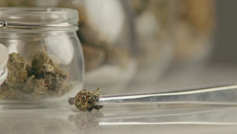 marijuana buds in glass jars