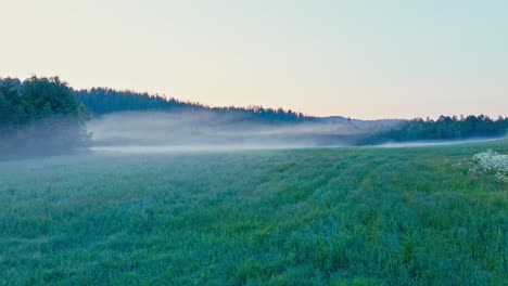 misty landscape with green lush field in norway - drone shot