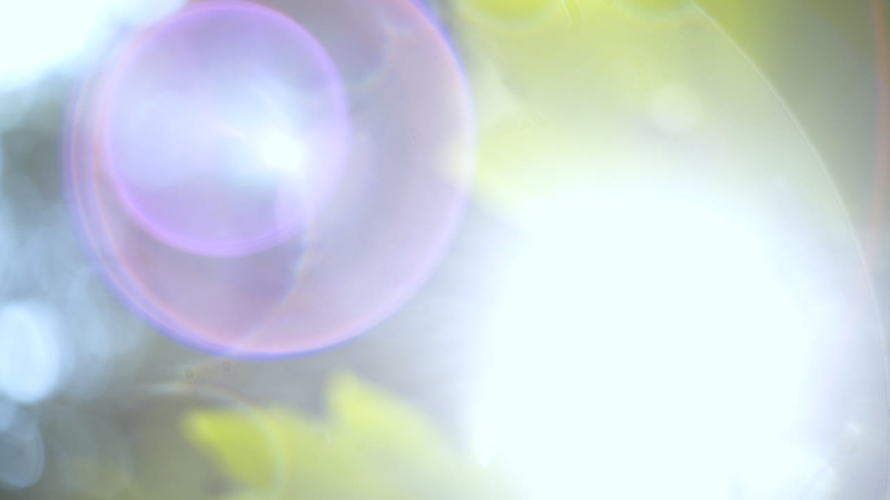 Extreme Shallow Focus of Leaves Reflecting a Stream of Water. Camera Moving from Leaves to Bright Radial Flare.