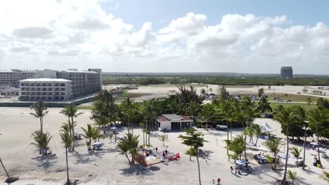 drone view over a white beach of juanillo, punta cana, beautiful sunny beach with tall palm trees