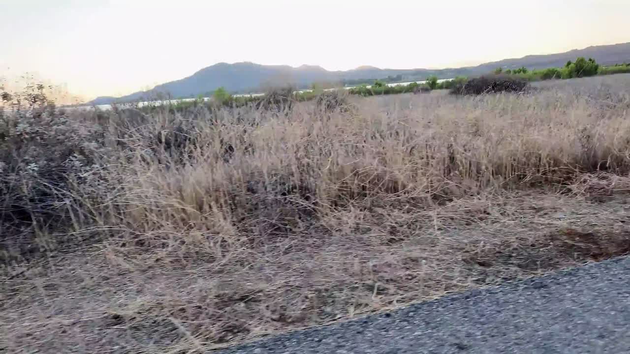View of the lake with brown and green baseline and the sunset in the background