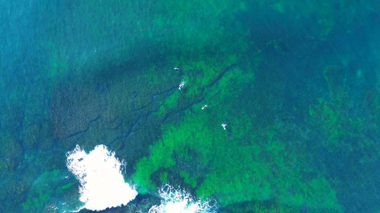 Drone aerial landscape of point break wave breaking along shallow reef inlet channel with surfers floating on surface Sydney Australia nature outdoors water activities holidays