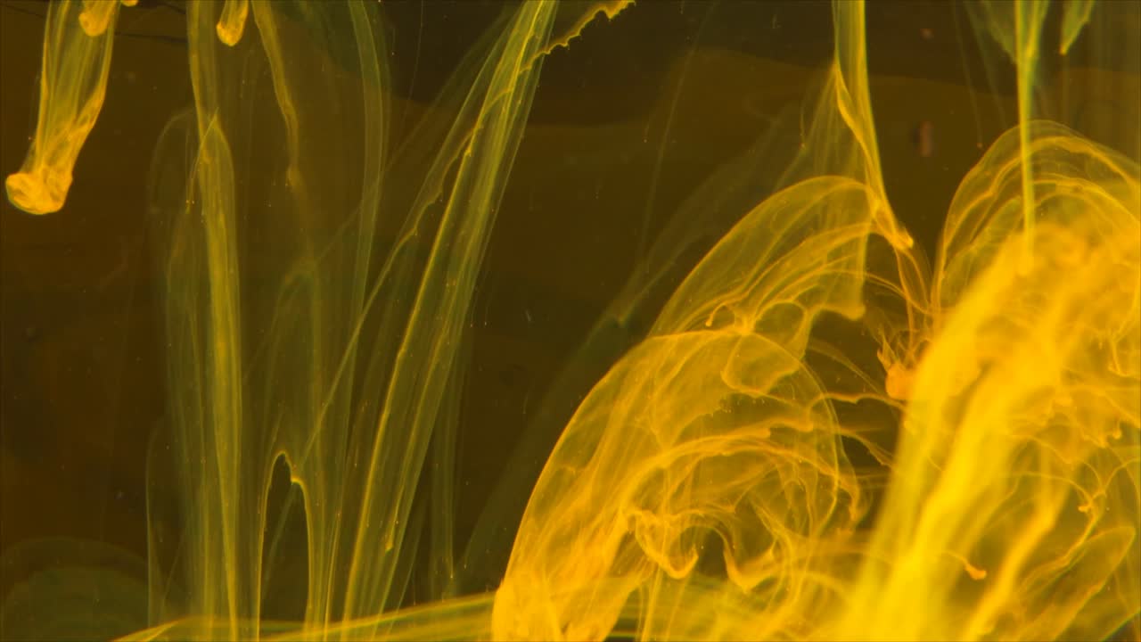 Inchiostro giallo vibrante che si diffonde e si dissolve nell'acqua scura.