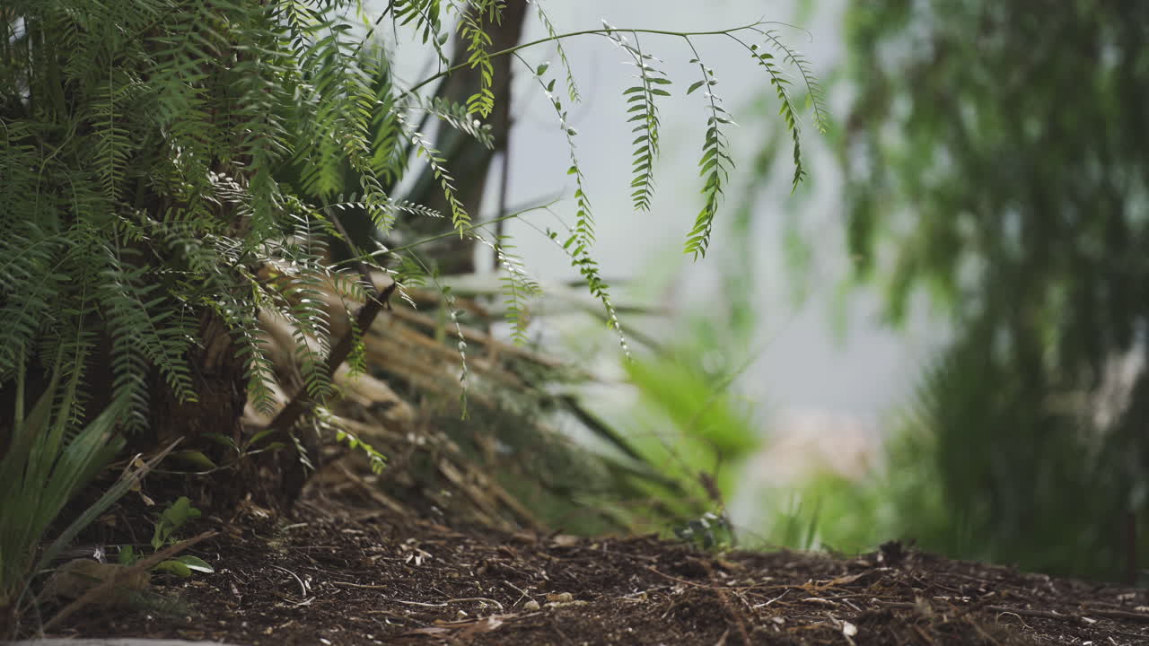 y el rastrillo recogido de un jardinero listo para trabajar en su jardín