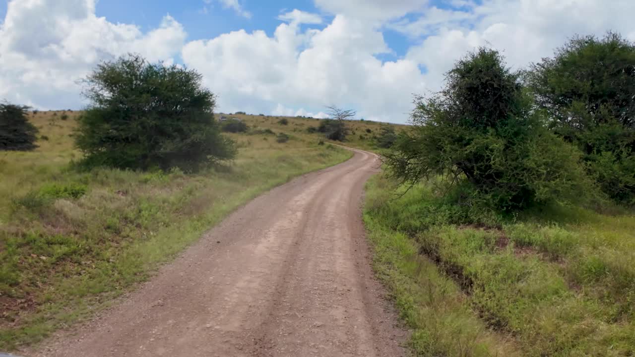 camino de safari sin pavimentar en un parque nacional