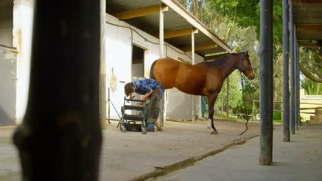 woman putting horseshoes in horse leg 4k