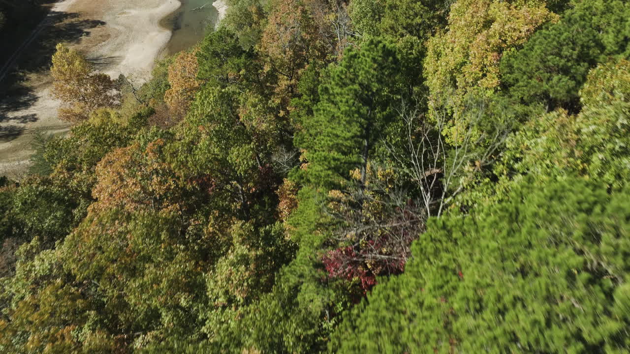 아칸소 주 블랜드 에 있는 이글 홀로우 동굴 근처 에 있는 비버 호수 를 둘러싸고 있는 밀집 한 가을 숲