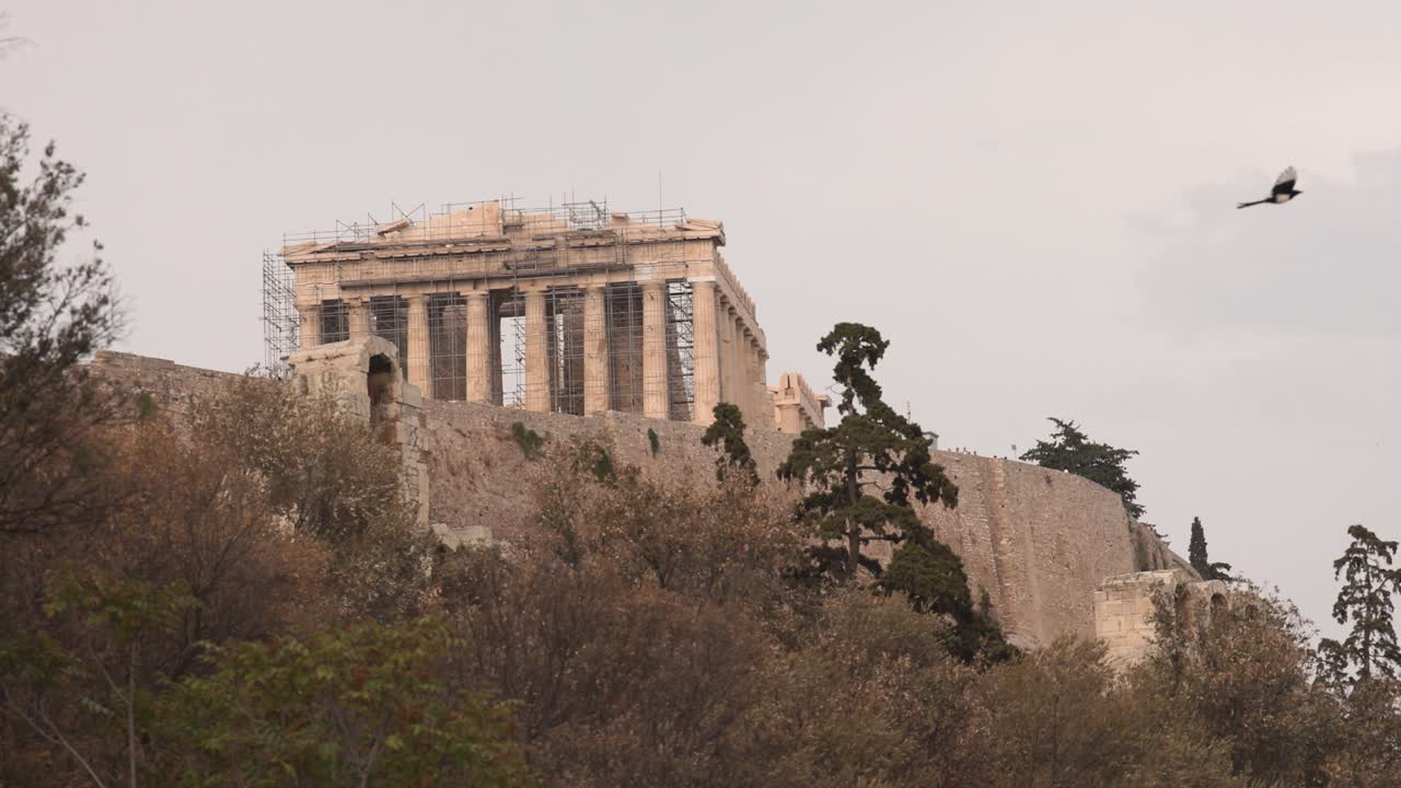 partenón con un pájaro volando sobre los árboles