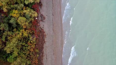 flying along the shores of lake erie in western new york states during autumn, with a birds-eye, top-down view