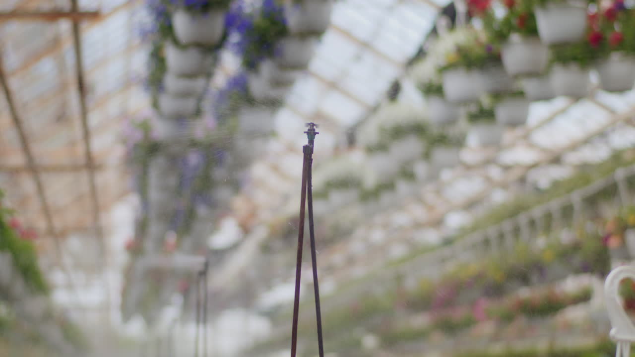 Close-up of Sprinkler Irrigation System in a Greenhouse
