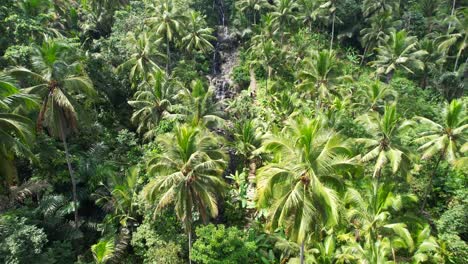 Gembleng Waterfall in Sidemen Village - Aerial Flying Over Tall Jungle Palm Trees Revealing Small Cascades and Tourists Walking Down the Hill on Narrow Concrete Staircase
