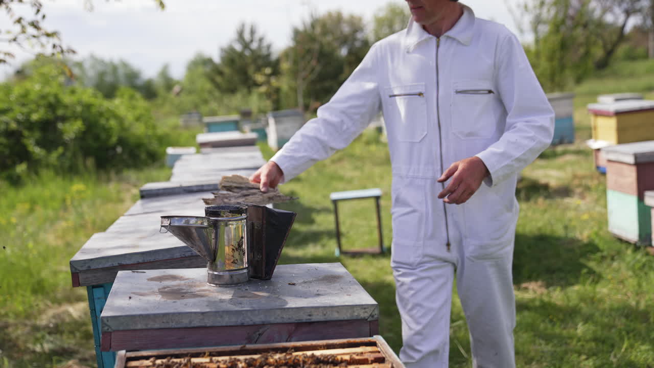 Apiary in summer. Chimney to protect from bees on a hive. Apiarist in white suit putting wooden sawdust into a chimney.