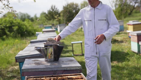 apiary in summer. chimney to protect from bees on a hive. apiarist in white suit putting wooden sawdust into a chimney.