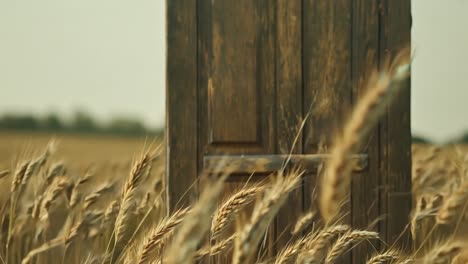 a wooden door in a field of wheat