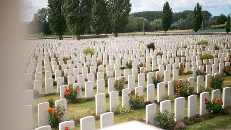 headstones at a war memorial cemetery amongst a beautiful green garden with red roses in ypres beglium, sliding handheld shot