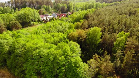 bright green thicket foliage with idyllic village in styporc, chojnice county, pomeranian voivodeship, in northern poland