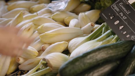 hand picking fresh fennel at farmers market
