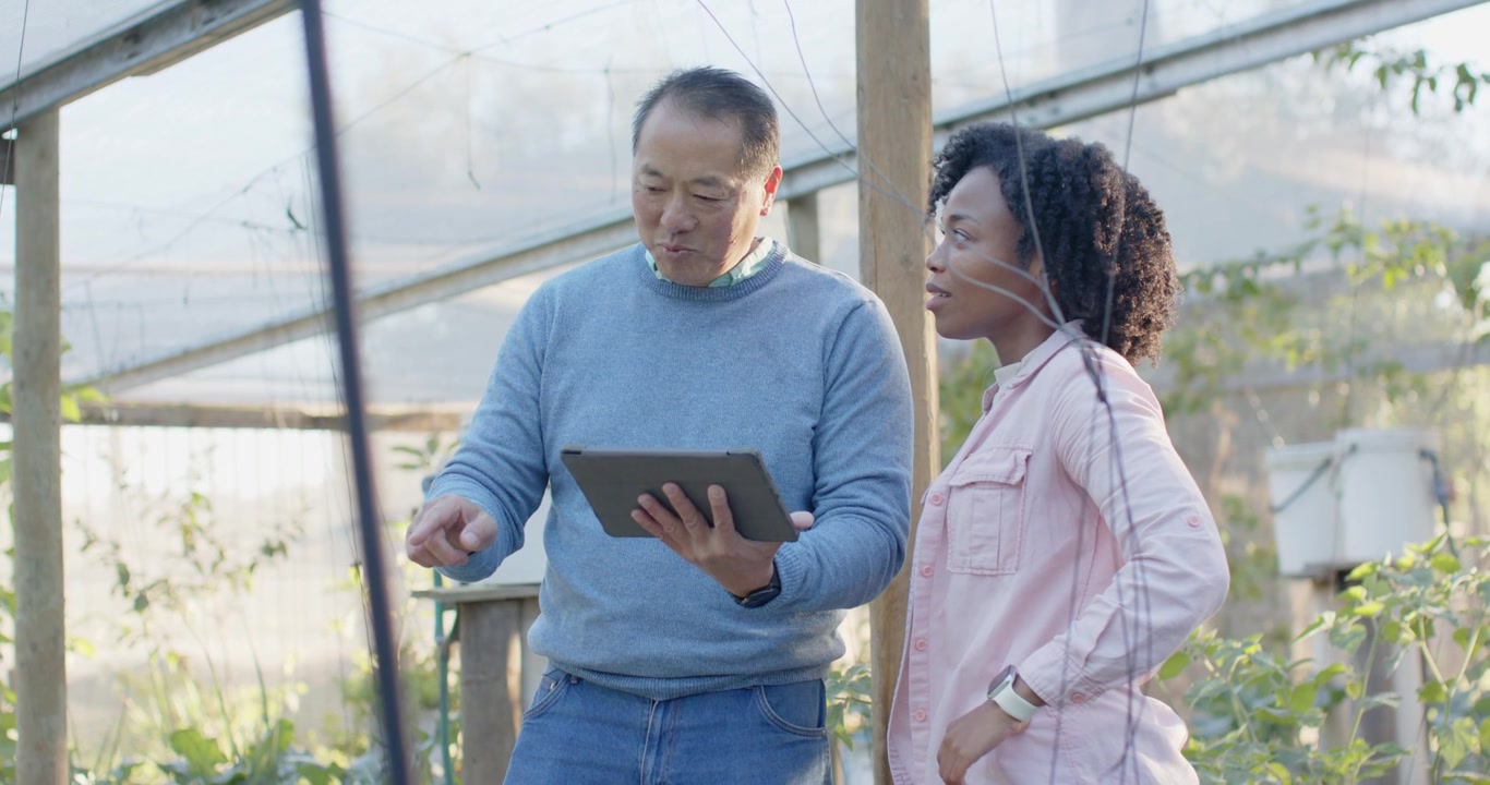 Diverse coworkers reacting to tablet data, senior Asian man scrolling and pointing at plant beds